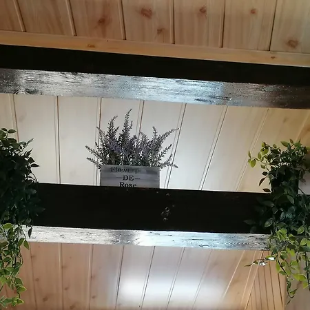 Apartment Cozy Attic Brașov