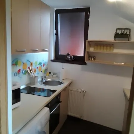 Apartment Cozy Attic Brașov