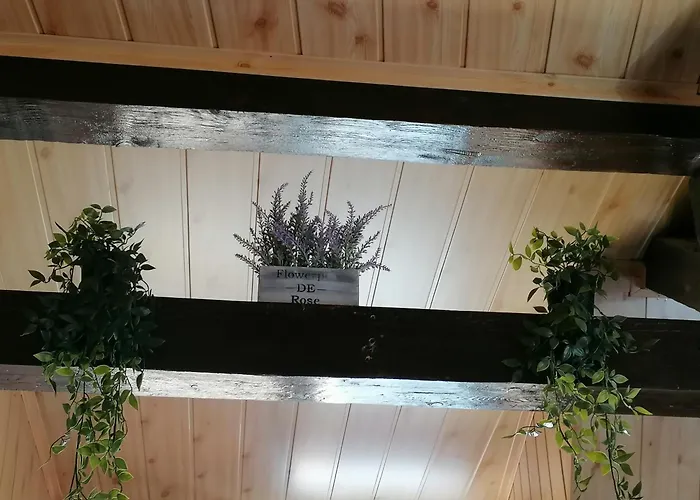 公寓 Cozy Attic 布拉索夫