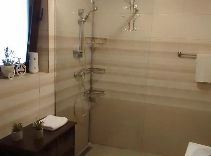 公寓 Cozy Attic 布拉索夫