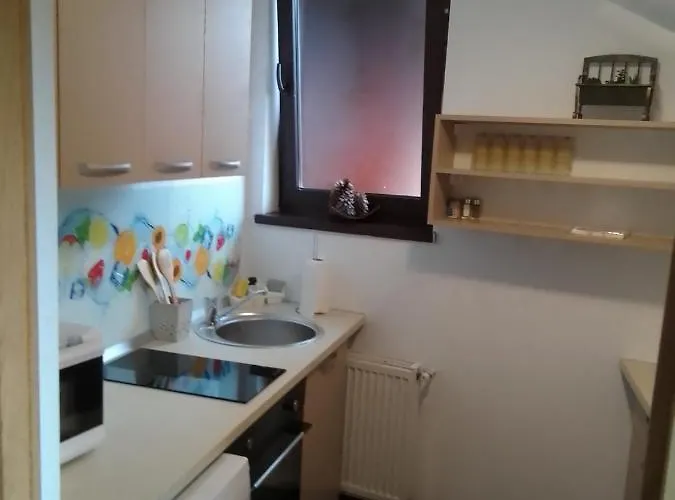 公寓 Cozy Attic 布拉索夫